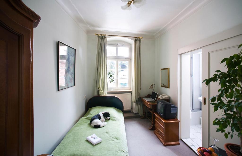 Hotel Goldener Hecht Heidelberg Cameră foto